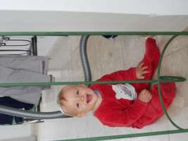 louis